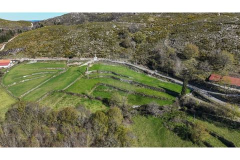Helårsgrund i Chorense e Monte, Braga, Chorense e Monte - € 12.500 | Ref: 126971023-3 - foto 3