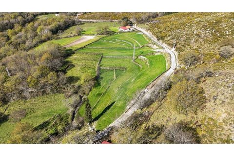 Helårsgrund i Chorense e Monte, Braga, Chorense e Monte - € 12.500 | Ref: 126971023-3 - foto 4