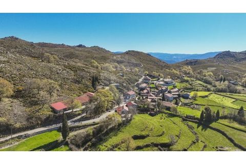 Helårsgrund i Chorense e Monte, Braga, Chorense e Monte - € 12.500 | Ref: 126971023-3 - foto 6