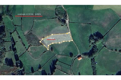 Helårsgrund i Chorense e Monte, Braga, Chorense e Monte - € 12.500 | Ref: 126971023-3 - foto 8