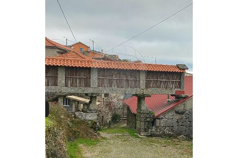 Helårsgrund i Chorense e Monte, Braga, Chorense e Monte - € 12.500 | Ref: 126971023-3 - foto 10