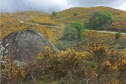 Helårsgrund i Chorense e Monte, Braga, Chorense e Monte - € 12.500 | Ref: 126971023-3 - foto 11
