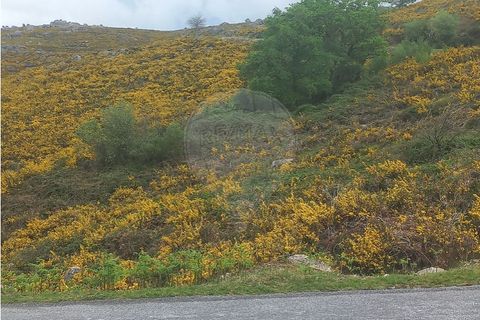 Helårsgrund i Chorense e Monte, Braga, Chorense e Monte - € 12.500 | Ref: 126971023-3 - foto 12