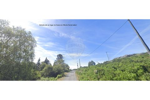 Helårsgrund i Chorense e Monte, Braga, Chorense e Monte - € 12.500 | Ref: 126971023-3 - foto 13