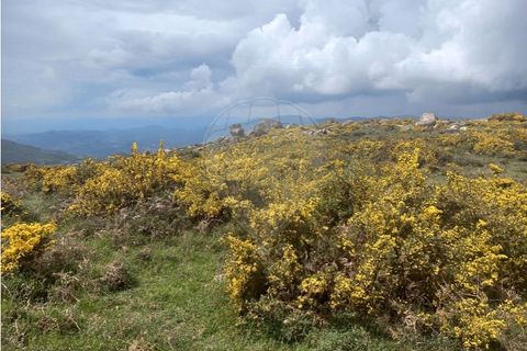 Helårsgrund i Chorense e Monte, Braga, Chorense e Monte - € 12.500 | Ref: 126971023-3 - foto 15