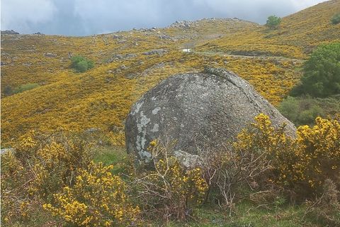 Helårsgrund i Chorense e Monte, Braga, Chorense e Monte - € 12.500 | Ref: 126971023-3 - foto 16