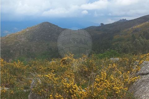 Helårsgrund i Chorense e Monte, Braga, Chorense e Monte - € 12.500 | Ref: 126971023-3 - foto 17