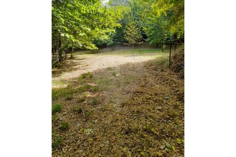 Terra a Caldelas, Braga, Caldelas - € 10.000 | Ref: 126971021-35 - foto 2
