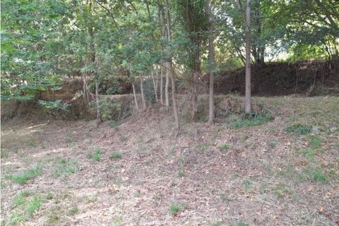 Terra a Caldelas, Braga, Caldelas - € 10.000 | Ref: 126971021-35 - foto 3
