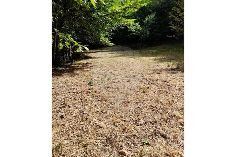 Terra a Caldelas, Braga, Caldelas - € 10.000 | Ref: 126971021-35 - foto 5