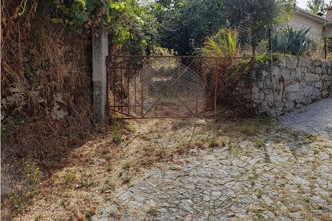 Terra a Caldelas, Braga, Caldelas - € 10.000 | Ref: 126971021-35 - foto 6