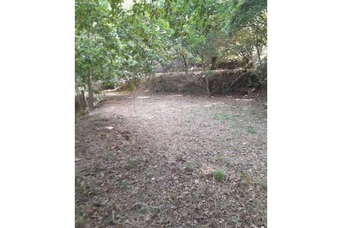 Terra a Caldelas, Braga, Caldelas - € 10.000 | Ref: 126971021-35 - foto 7