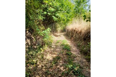 Terra a Caldelas, Braga, Caldelas - € 10.000 | Ref: 126971021-35 - foto 8