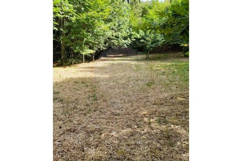 Terra a Caldelas, Braga, Caldelas - € 10.000 | Ref: 126971021-35 - foto 9