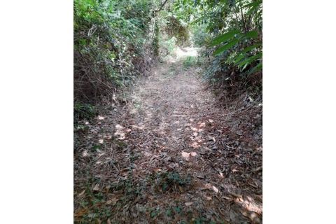 Terra a Caldelas, Braga, Caldelas - € 10.000 | Ref: 126971021-35 - foto 10