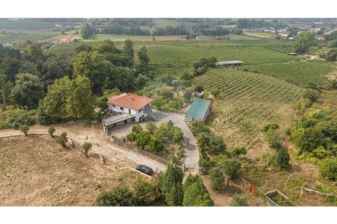 Villa a Amares, Braga, Amares - € 720.000 | Ref: 126971023-13 - foto 17