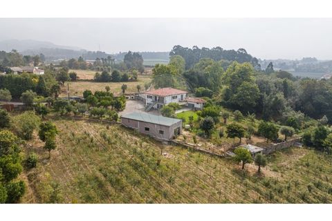 Villa a Amares, Braga, Amares - € 720.000 | Ref: 126971023-13 - foto 14