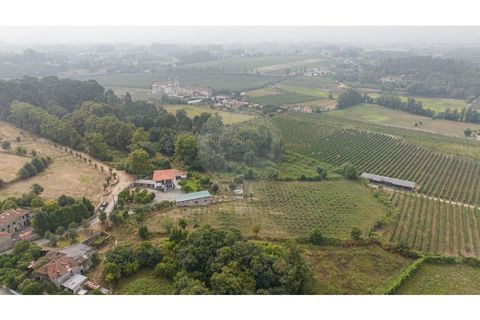 Villa a Amares, Braga, Amares - € 720.000 | Ref: 126971023-13 - foto 4