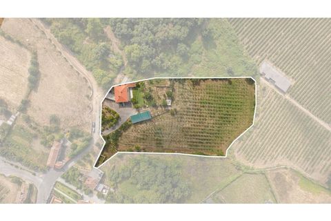 Villa a Amares, Braga, Amares - € 720.000 | Ref: 126971023-13 - foto 13