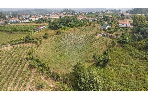 Villa a Amares, Braga, Amares - € 720.000 | Ref: 126971023-13 - foto 26