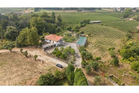 Villa a Amares, Braga, Amares - € 720.000 | Ref: 126971023-13 - foto 31