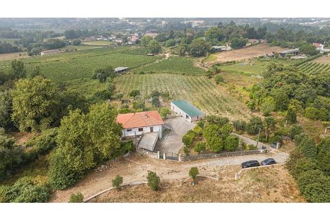 Villa a Amares, Braga, Amares - € 720.000 | Ref: 126971023-13 - foto 44