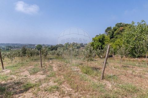 Villa a Amares, Braga, Amares - € 720.000 | Ref: 126971023-13 - foto 34
