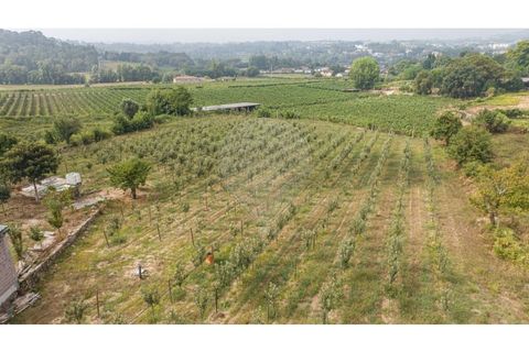 Villa a Amares, Braga, Amares - € 720.000 | Ref: 126971023-13 - foto 36