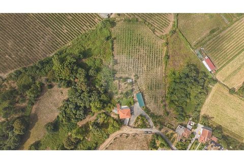 Villa a Amares, Braga, Amares - € 720.000 | Ref: 126971023-13 - foto 38