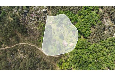 Villa i Braga, Braga, Braga - € 395.000 | Ref: 126971007-32 - foto 7