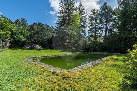 Villa i Braga, Braga, Braga - € 395.000 | Ref: 126971007-32 - foto 13
