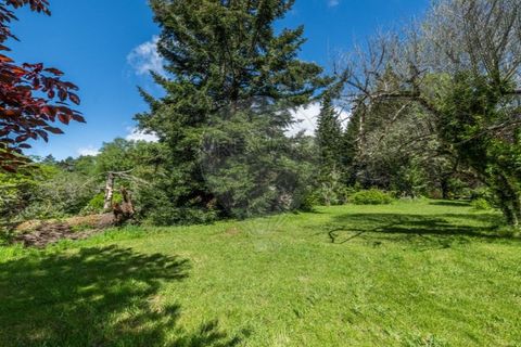 Villa i Braga, Braga, Braga - € 395.000 | Ref: 126971007-32 - foto 22