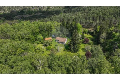 Villa i Braga, Braga, Braga - € 395.000 | Ref: 126971007-32 - foto 44