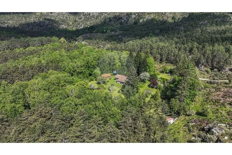 Villa i Braga, Braga, Braga - € 395.000 | Ref: 126971007-32 - foto 40