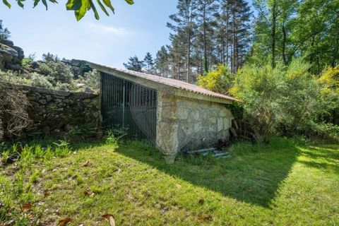Villa i Braga, Braga, Braga - € 395.000 | Ref: 126971007-32 - foto 9