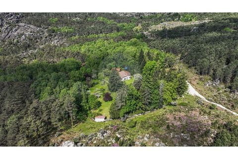 Villa i Braga, Braga, Braga - € 395.000 | Ref: 126971007-32 - foto 14