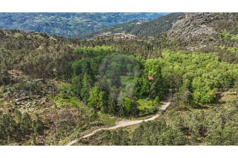 Villa i Braga, Braga, Braga - € 395.000 | Ref: 126971007-32 - foto 35