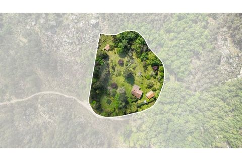 Villa i Braga, Braga, Braga - € 395.000 | Ref: 126971007-32 - foto 6