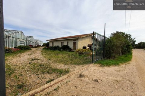 Helårsgrund i Assemini, Cagliari, Assemini - € 250.000 | Ref: 18348 - foto 3