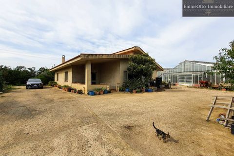 Helårsgrund i Assemini, Cagliari, Assemini - € 250.000 | Ref: 18348 - foto 5