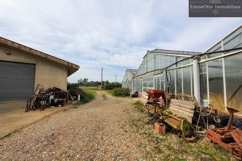 Helårsgrund i Assemini, Cagliari, Assemini - € 250.000 | Ref: 18348 - foto 6