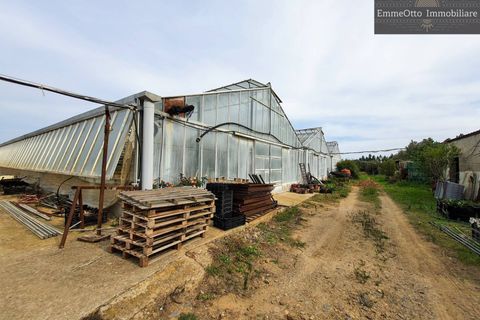 Helårsgrund i Assemini, Cagliari, Assemini - € 250.000 | Ref: 18348 - foto 11