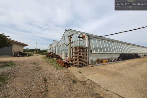 Helårsgrund i Assemini, Cagliari, Assemini - € 250.000 | Ref: 18348 - foto 12