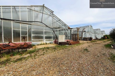 Helårsgrund i Assemini, Cagliari, Assemini - € 250.000 | Ref: 18348 - foto 13