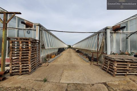 Helårsgrund i Assemini, Cagliari, Assemini - € 250.000 | Ref: 18348 - foto 14