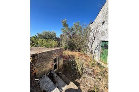 Bungalow i Tomar, Santarem, Tomar - € 52.500 | Ref: CH 389 - foto 4