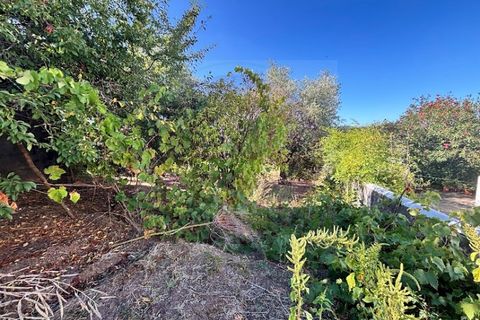 Bungalow i Tomar, Santarem, Tomar - € 52.500 | Ref: CH 389 - foto 13