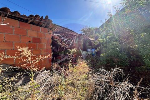 Bungalow i Tomar, Santarem, Tomar - € 52.500 | Ref: CH 389 - foto 14