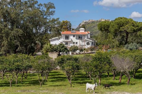 Villa i Palmela, Setubal, Palmela - € 1.950.000 | Ref: 25-TRES402 - foto 1