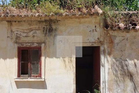 Villa i Monchique, Faro, Monchique - € 85.000 | Ref: 1758 - foto 14